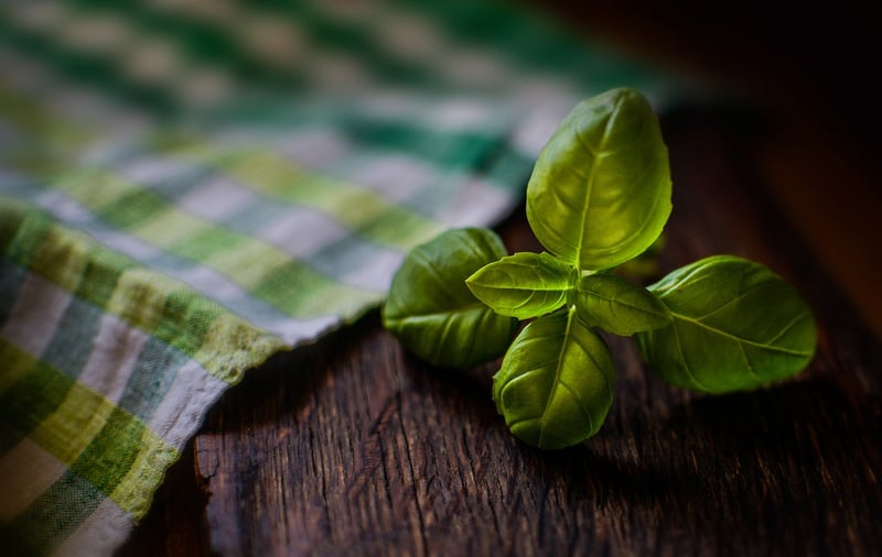 Spellbound Herbs